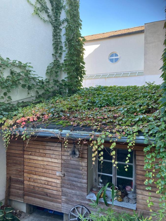 Pension Sunnseitn - Gasthof - Café - Weinkeller Haslach an der Mühl Esterno foto