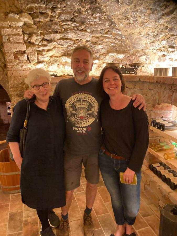 Pension Sunnseitn - Gasthof - Café - Weinkeller Haslach an der Mühl Esterno foto