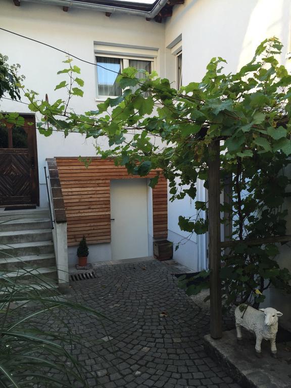 Pension Sunnseitn - Gasthof - Café - Weinkeller Haslach an der Mühl Esterno foto